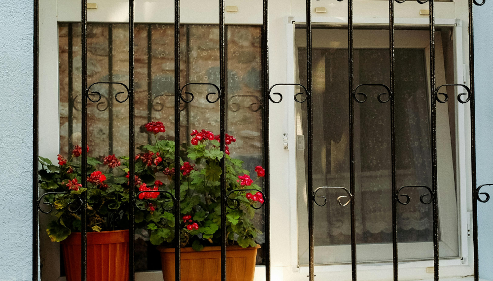 grille fer forgé fenetre